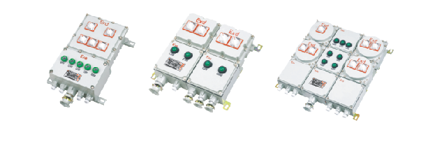 BM(D)G54-系列防爆動力配電箱