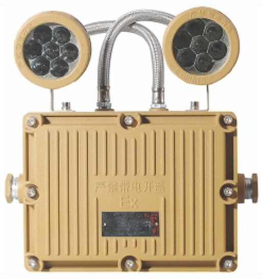 防爆雙頭應(yīng)急燈