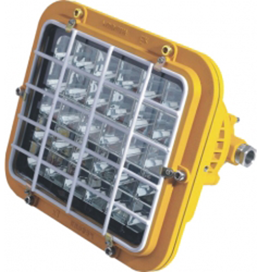 LED中功率防爆投光燈額定功率60W