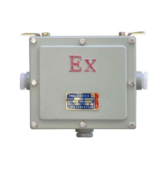 BAZ51防爆鎮(zhèn)流器（IIB、IIC）