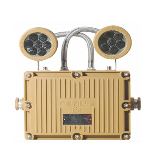 防爆雙頭應(yīng)急燈